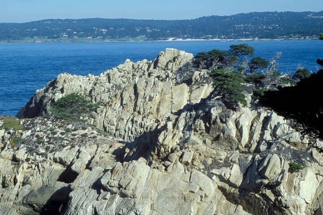 Point Lobos Statepark