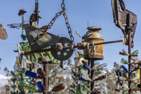 Bottle Tree Ranch