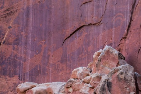 Petroglyphen im Capitol Reef Nationalpark