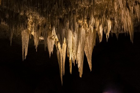 Carlsbad Caverns in New Mexico