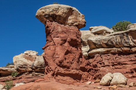 Cohab Canyon Trail im Capitol Reef Nationalpark