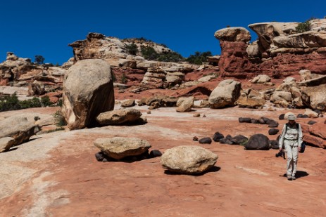 Cohab Canyon Trail im Capitol Reef Nationalpark