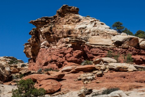 Cohab Canyon Trail im Capitol Reef Nationalpark