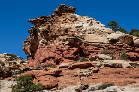 Cohab Canyon Trail im Capitol Reef Nationalpark