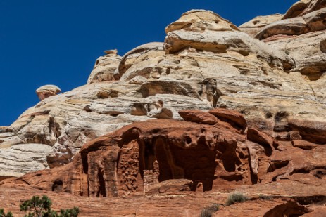 Cohab Canyon Trail im Capitol Reef Nationalpark