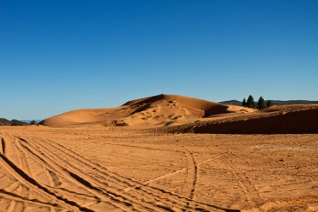 Spuren von Dunebuggiesin den Coral Pink Sand Dunes