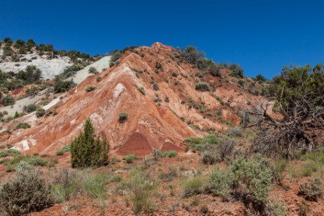 Cottonwood Canyon Road