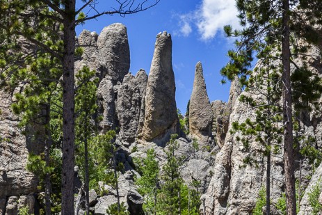 Needles Section im Custer Statepark