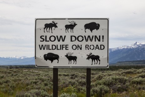 Grand Teton NP