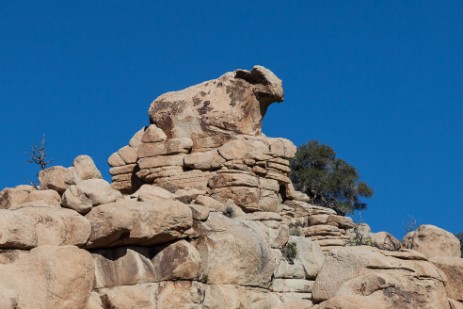 Hidden Valley Trail im Joshua Tree Nationalpark