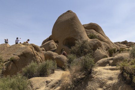 Skull Rock im Joshua Tree Nationalpark