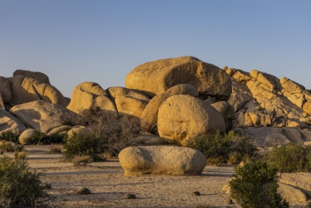 Sonnenuntergang im Joshua Tree Nationalpark