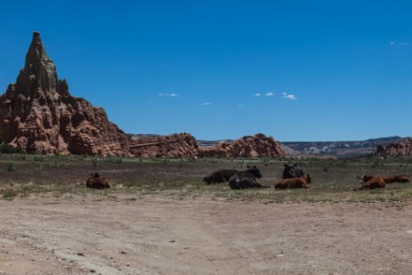 Kodachrome Basin