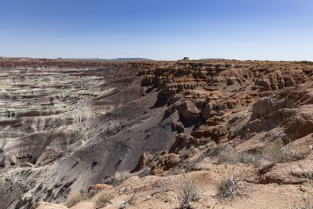 Little Painted Dessert in Arizona