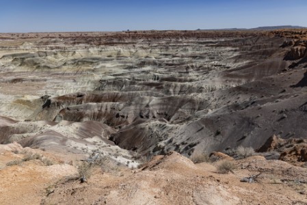 Little Painted Dessert in Arizona