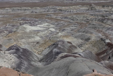 Little Painted Dessert in Arizona