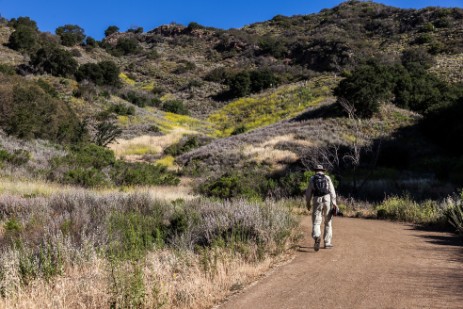 Malibu Creek State Park