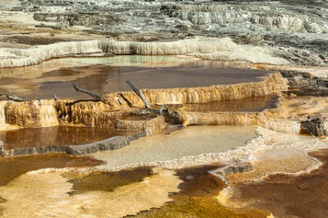 Sinterterrassen bei Mammoth Hot Springs im Yellowstone Nationalpark