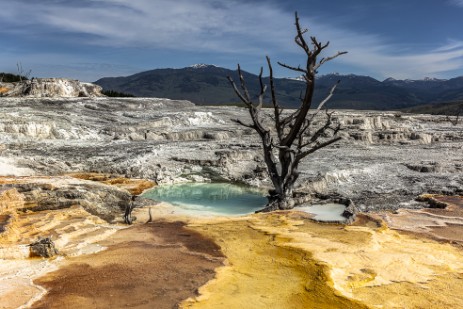 Mammoth Hot Springs im Yellowstone Nationalpark