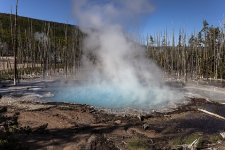 Norris Geyser Basin im Yellowstone Nationalpark