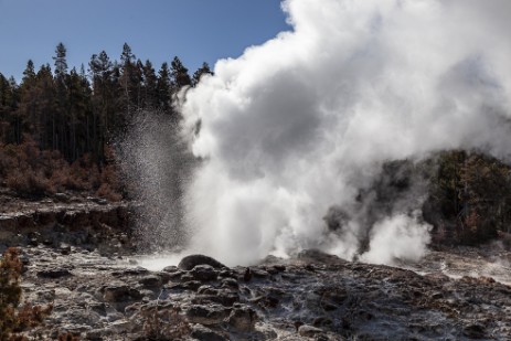 Steamboat Geyser am Norris Geyser Basin