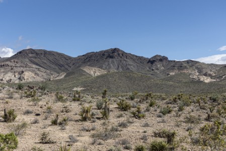 Oatman Highway in Arizona