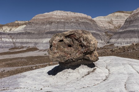 Petrified Forest Nationalpark Blue Mesa Trail