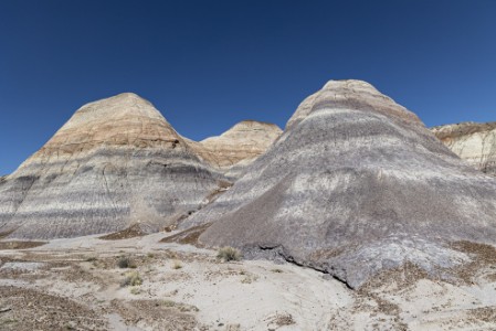 Petrified Forest Nationalpark Blue Mesa Trail