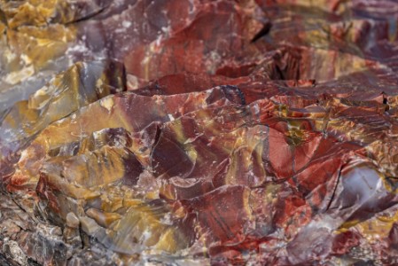 Petrified Forest Nationalpark Crystal Forest