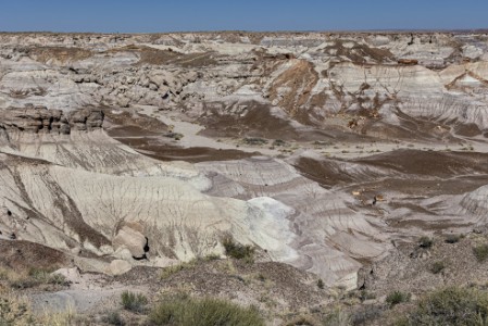 Petrified Forest Nationalpark