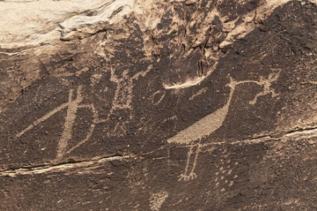 Petrified Forest Nationalpark Newspaper Rock