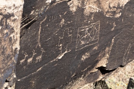 Petrified Forest Nationalpark Newspaper Rock