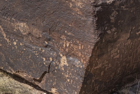 Petrified Forest Nationalpark Newspaper Rock