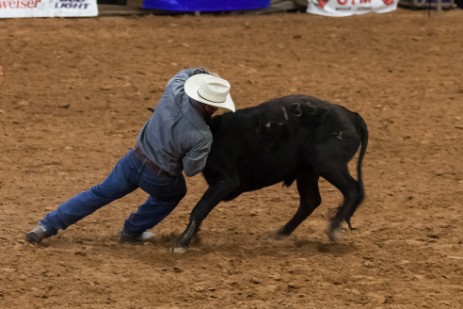 Rodeo in Moab