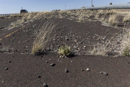 Ehemalige Route 66 in Arizona