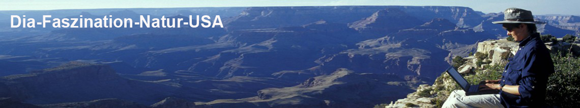 Elisabeth mit Laptop am Grand Canyon