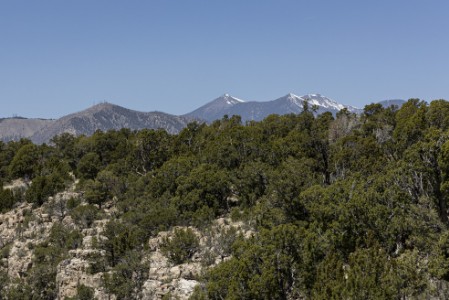 Walnut Canyon - Rim Walk