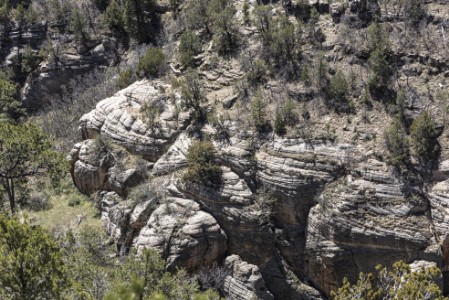 Walnut Canyon - Rim Walk