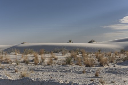 White Sands