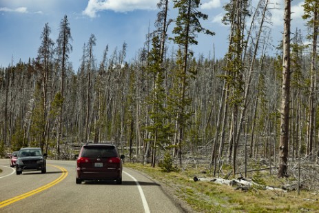 Yellowstone NP