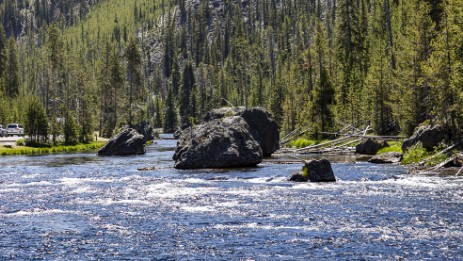 Gibbon River im Yellowstone NP