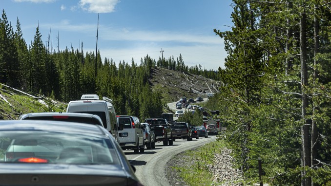 Stau im Yellowstone NP