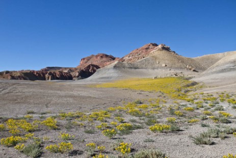 Alstrom Point