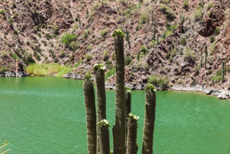 Apache Trail