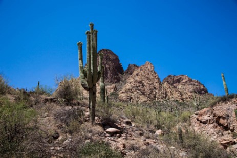 Apache Trail