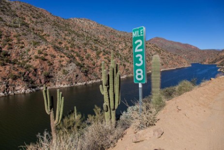 Saguaros am Apache Trail