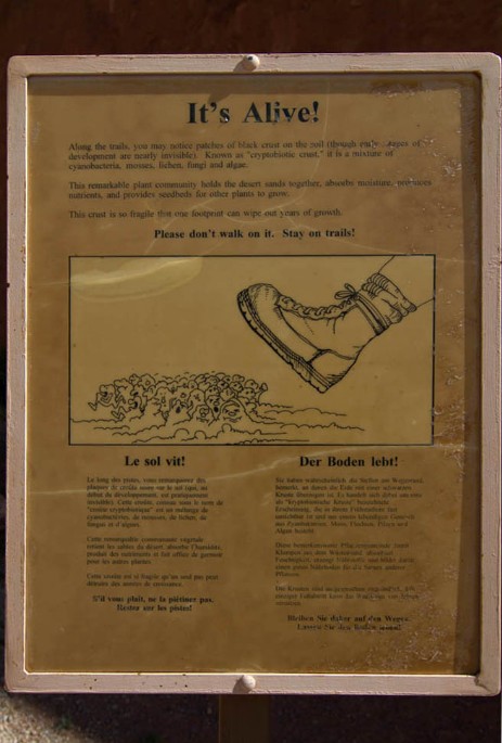 Schild Makrobiotische Kruste