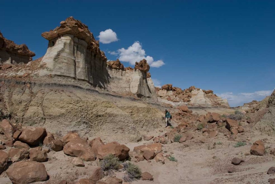 Bisti Wilderness Norteil