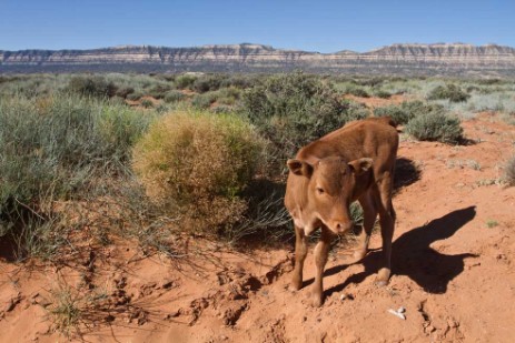 Grand Staircase Escalante National Monument