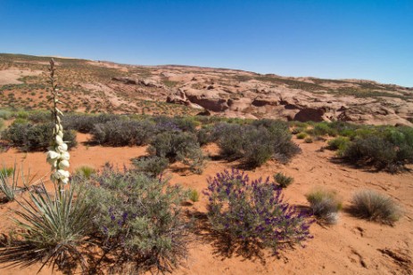 Grand Staircase Escalante National Monument